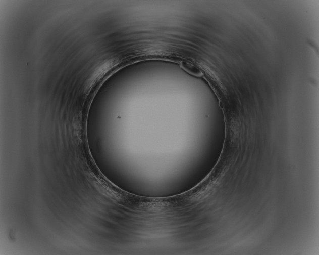 X0000093390930200710191151