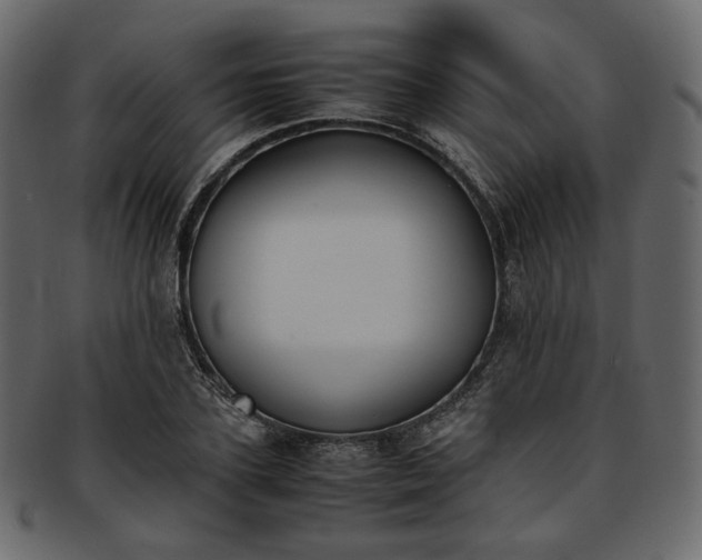 X0000093390931200710191151