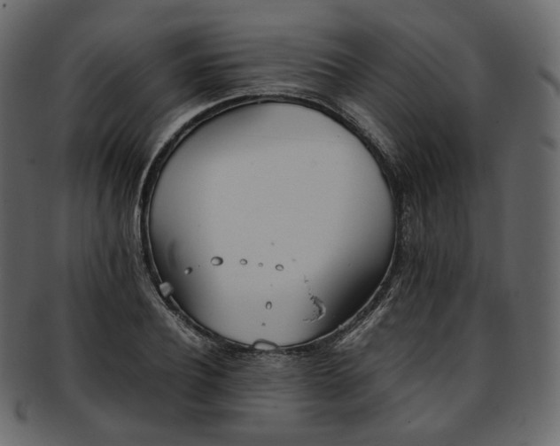 X0000093390932200710191151