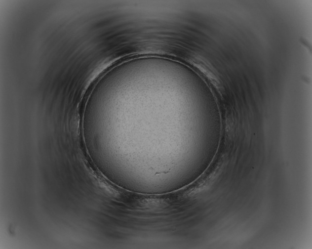 X0000093390933200710191151