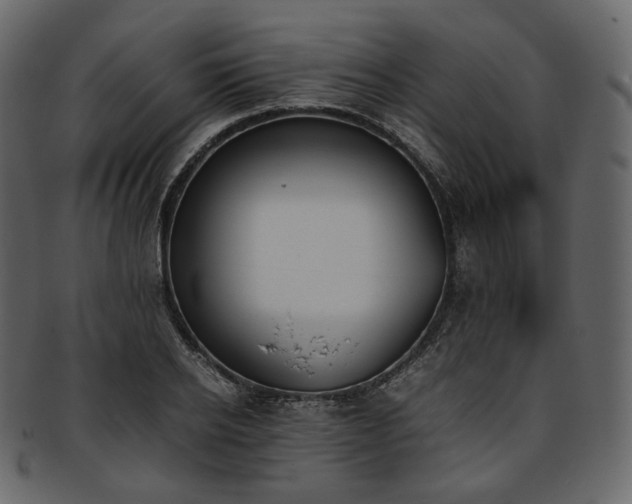 X0000093390934200710191151