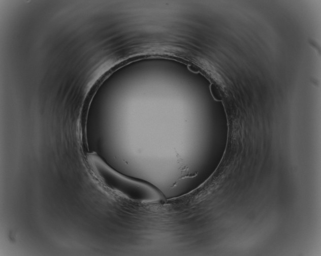 X0000093390936200710191151