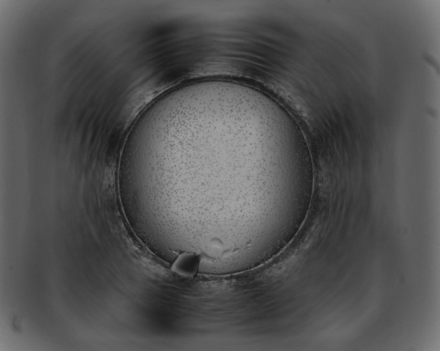 X0000093390937200710191151