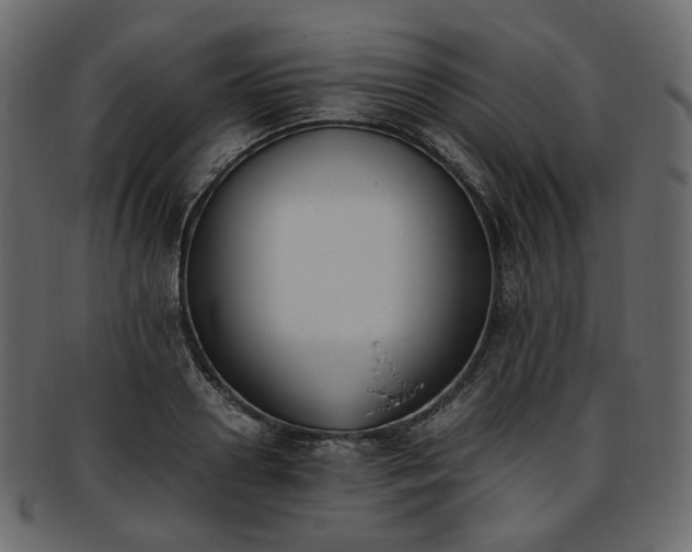 X0000093390938200710191151