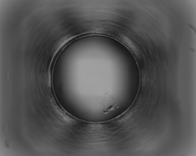 X0000093390940200710191151