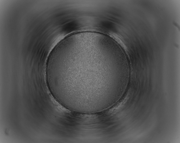 X0000093390941200710191151