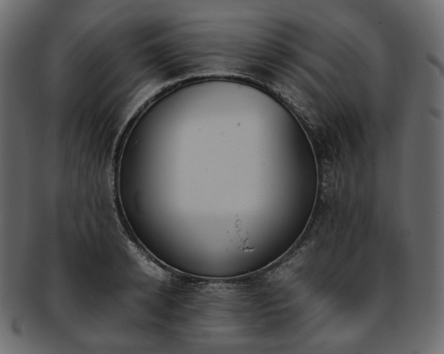 X0000093390942200710191151