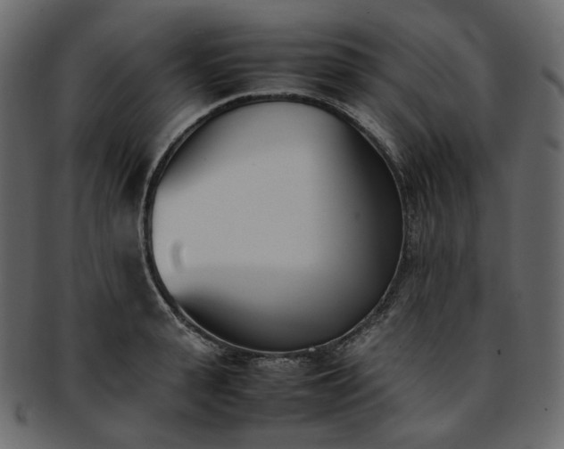 X0000093390943200710191151