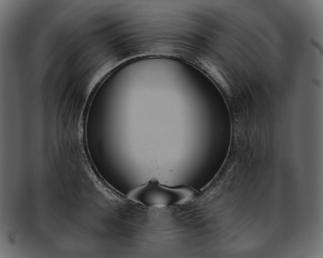 X0000093390944200710191151