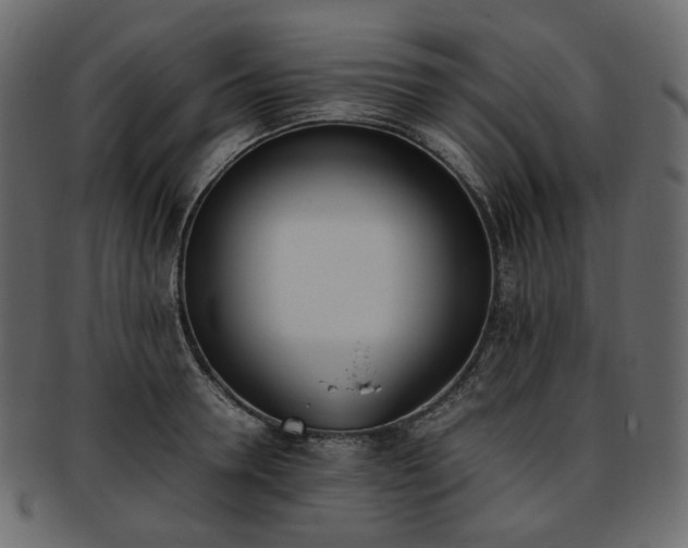 X0000093390946200710191151