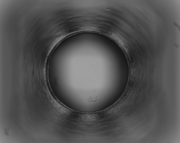 X0000093390947200710191151