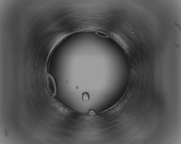 X0000093390948200710191151