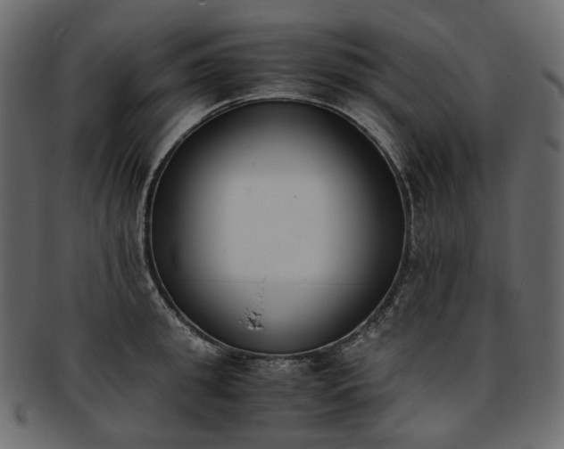 X0000093390949200710191151