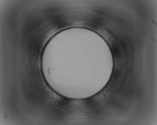 X0000093390950200710191151