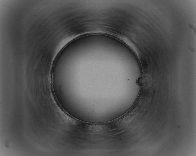 X0000093390951200710191151