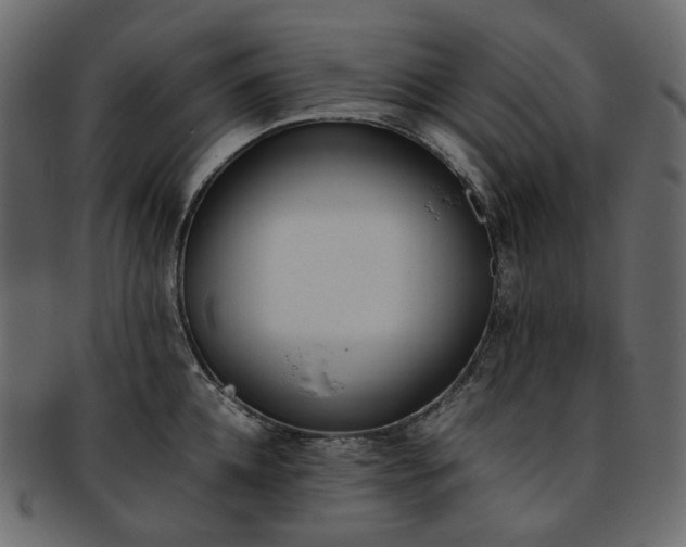 X0000093390952200710191151