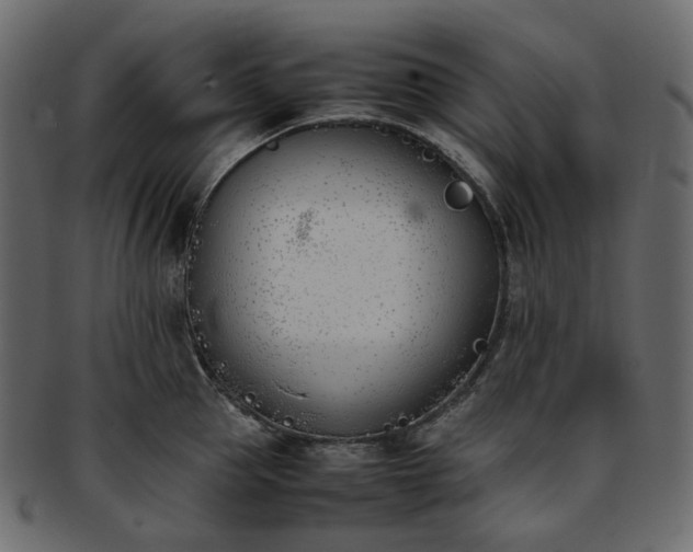 X0000093390953200710191151