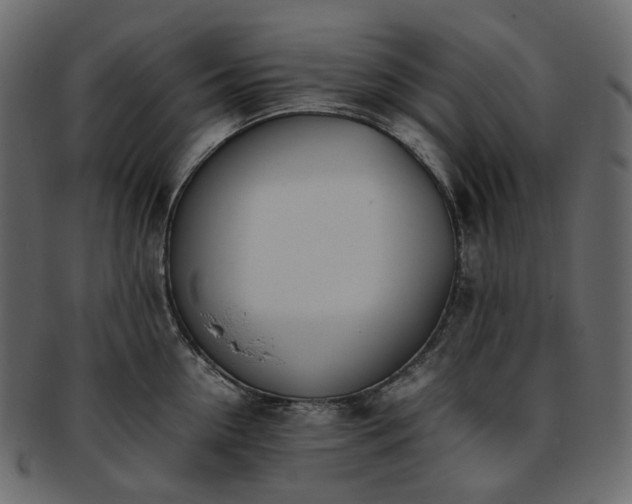 X0000093390954200710191151