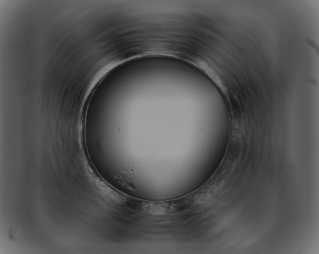 X0000093390955200710191151