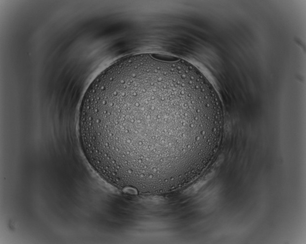 X0000093390957200710191151