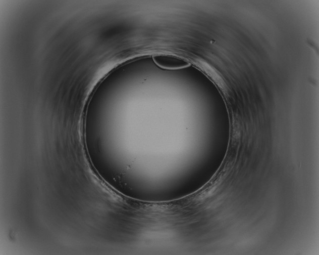 X0000093390958200710191151