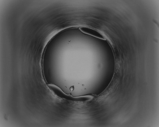 X0000093390959200710191151