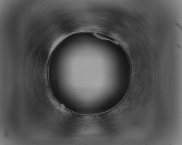 X0000093390960200710191151