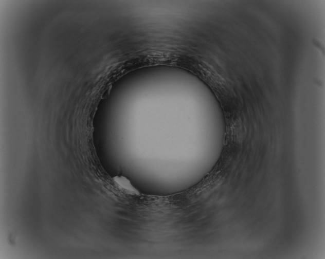 X0000093390961200710191151