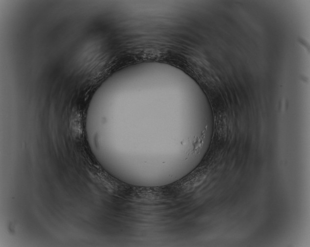 X0000093390962200710191151