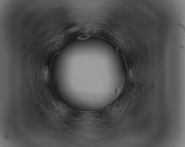 X0000093390963200710191151