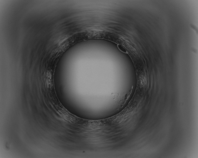 X0000093390964200710191151