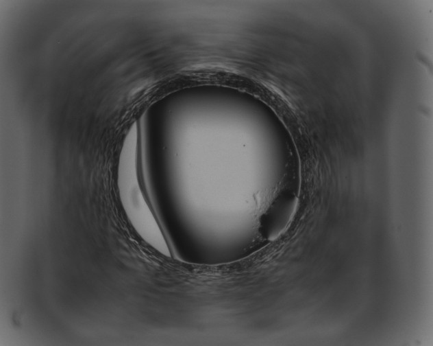 X0000093390965200710191151