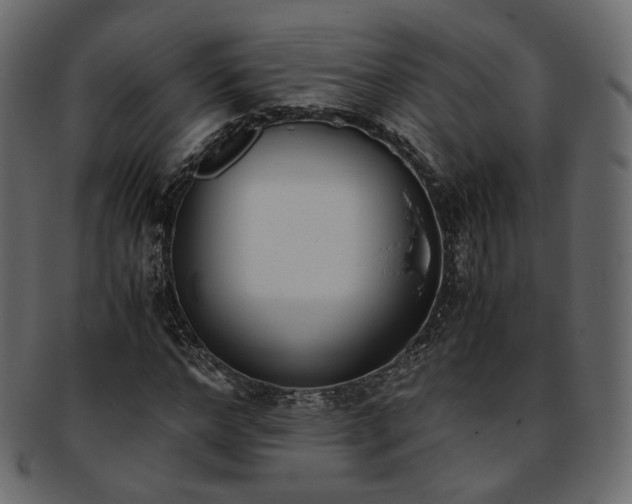 X0000093390968200710191150