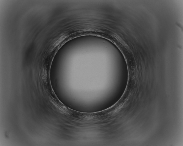 X0000093390969200710191150