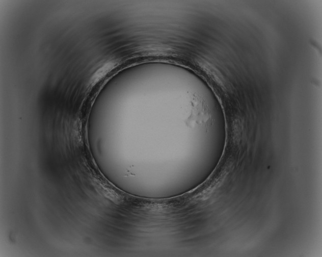 X0000093390970200710191150