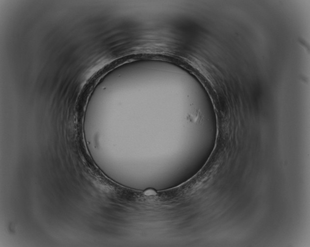 X0000093390971200710191150