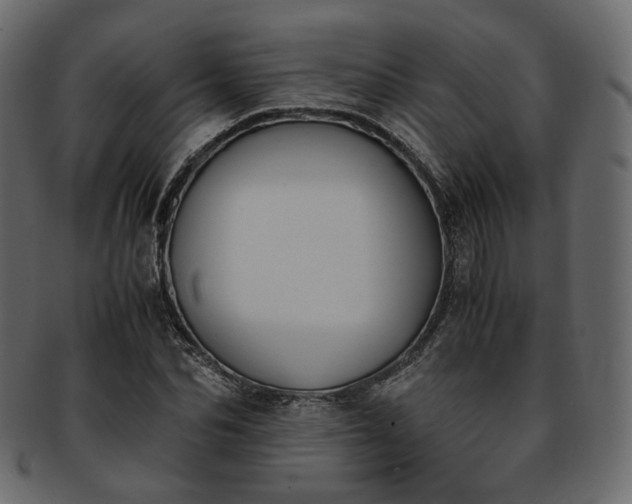 X0000093390974200710191150