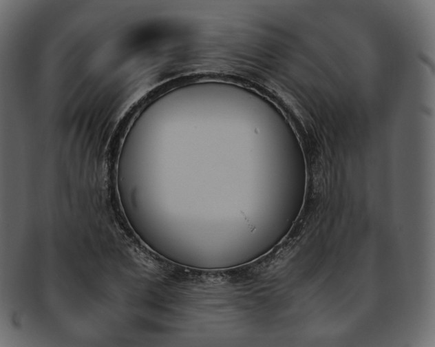 X0000093390975200710191150