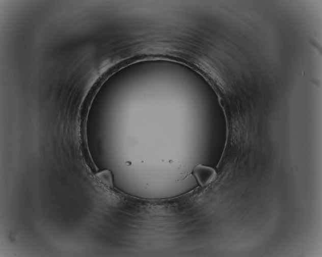 X0000093390976200710191150