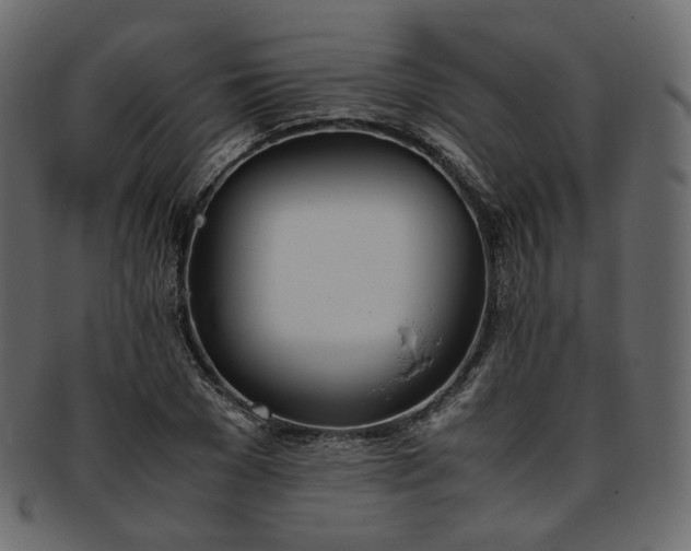 X0000093390977200710191150