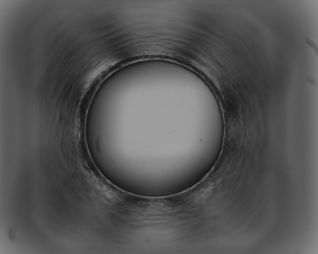 X0000093390979200710191150