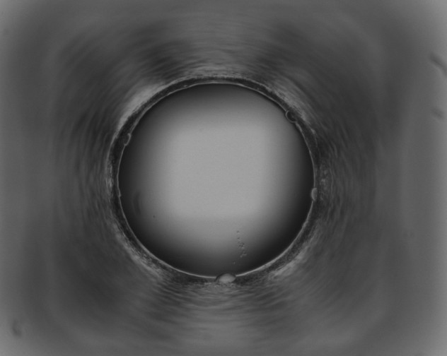 X0000093390981200710191150