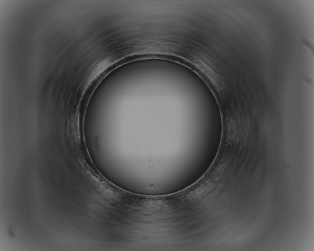 X0000093390982200710191150