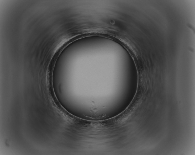 X0000093390983200710191150