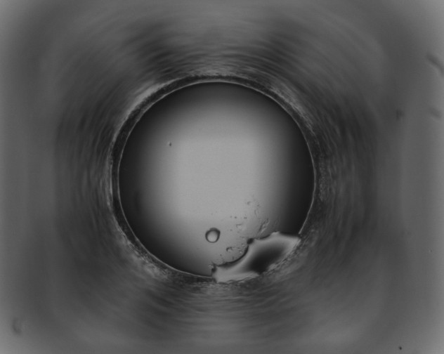 X0000093390984200710191150