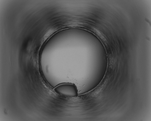 X0000093390986200710191150