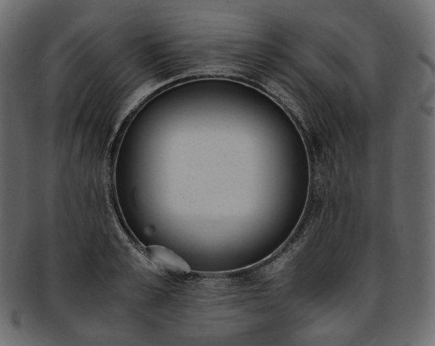 X0000093390989200710191150