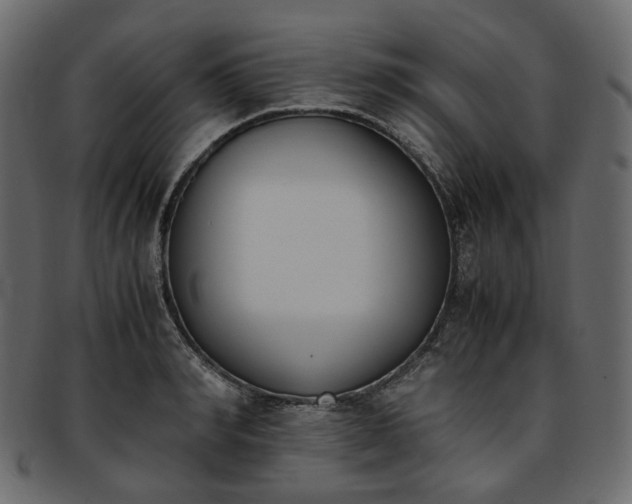 X0000093390990200710191150