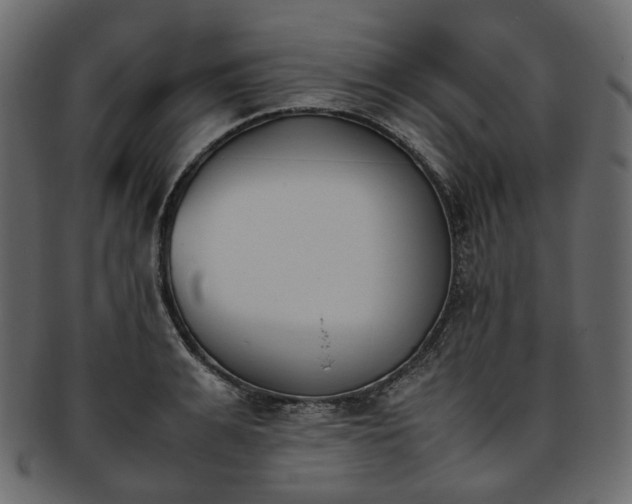 X0000093390991200710191150