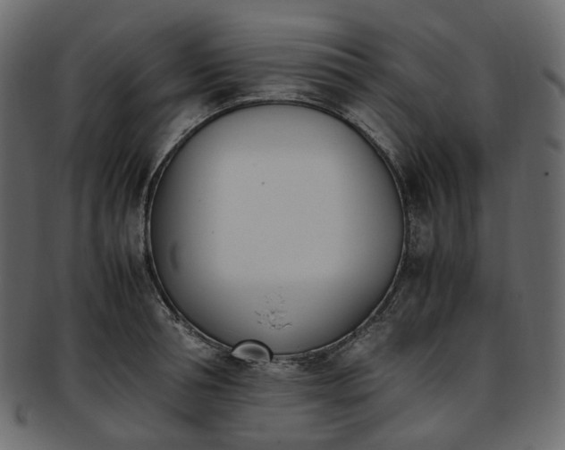 X0000093390994200710191150